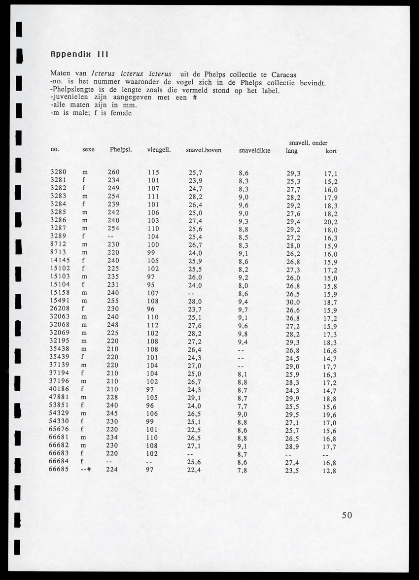 z Icterus icterus ridgwayi op Bonaire - New Page
