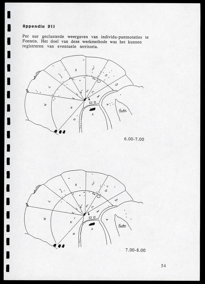 z Icterus icterus ridgwayi op Bonaire - New Page