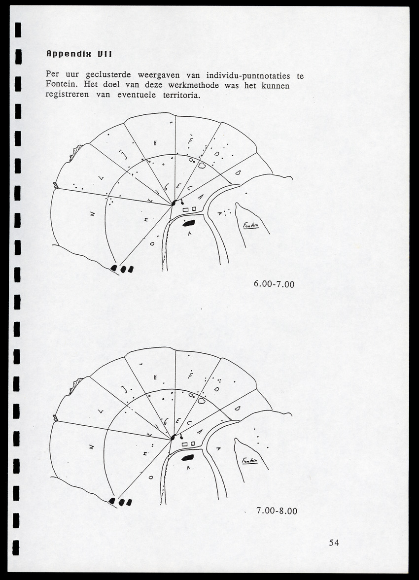 z Icterus icterus ridgwayi op Bonaire - New Page