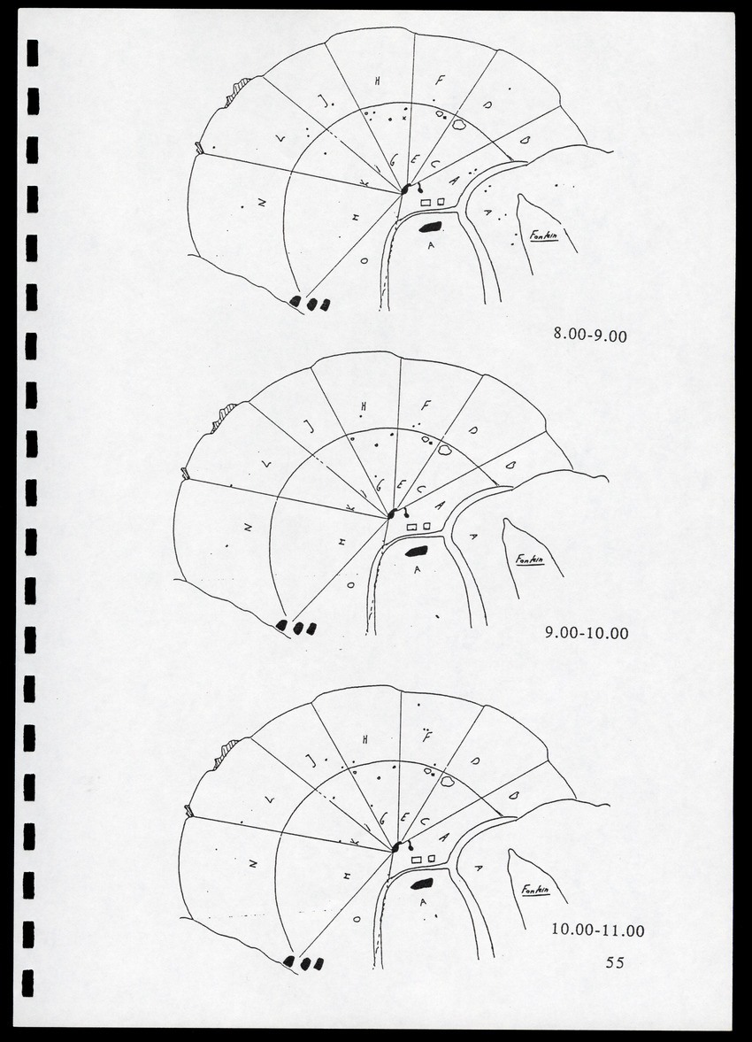z Icterus icterus ridgwayi op Bonaire - New Page
