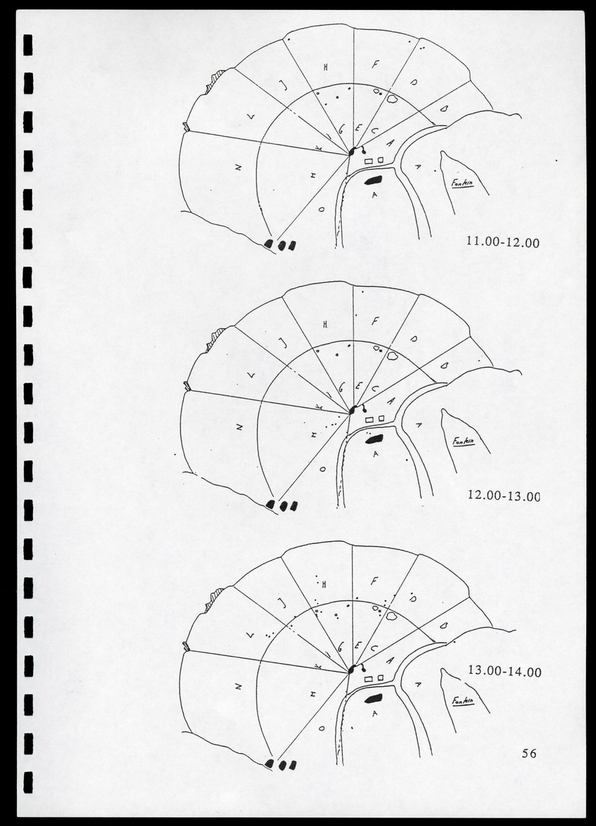 z Icterus icterus ridgwayi op Bonaire - New Page