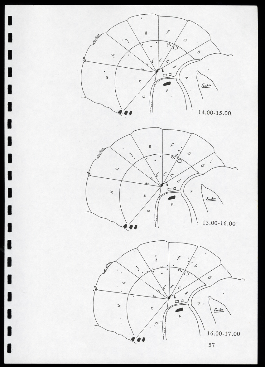 z Icterus icterus ridgwayi op Bonaire - New Page