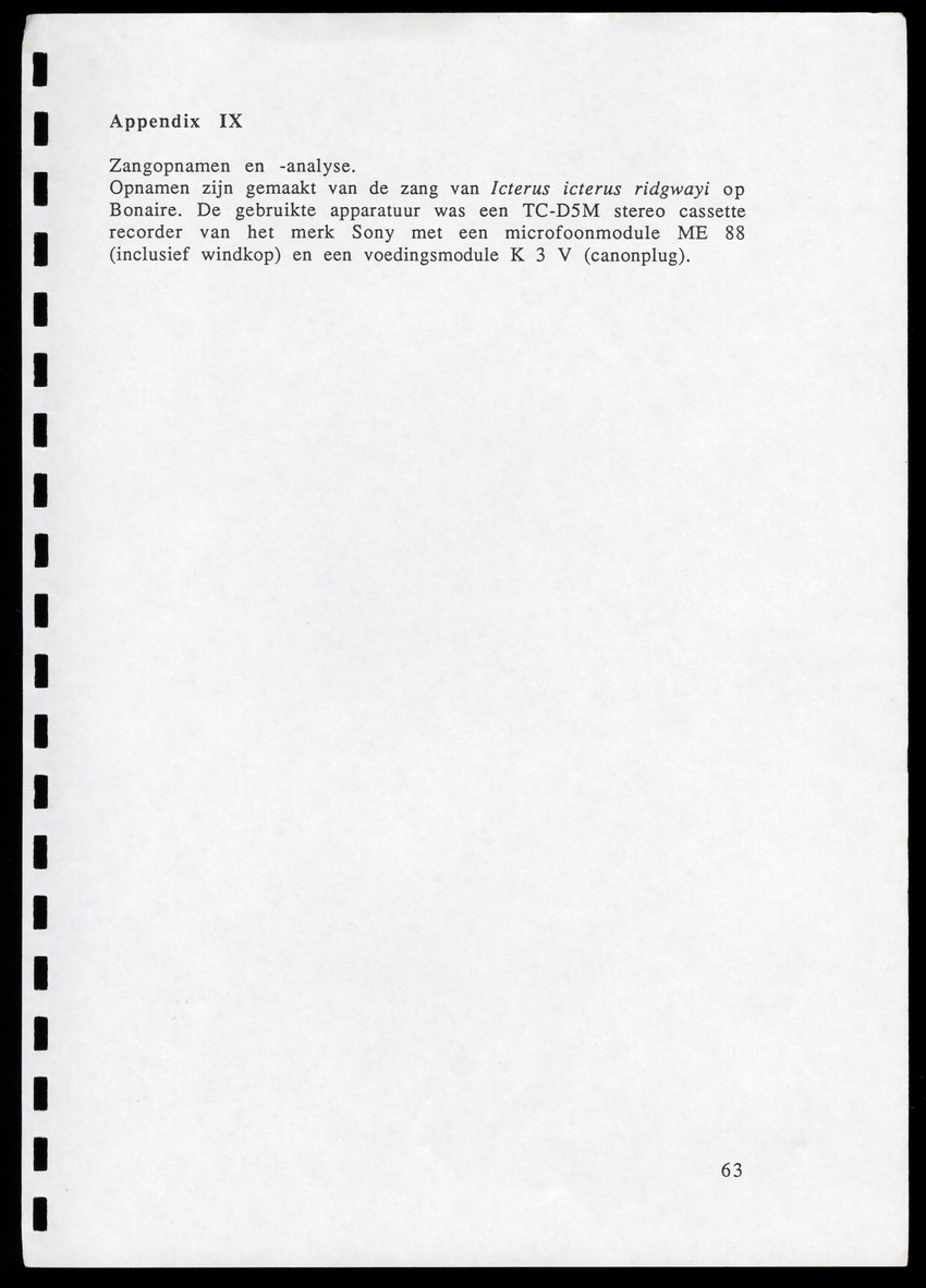 z Icterus icterus ridgwayi op Bonaire - New Page