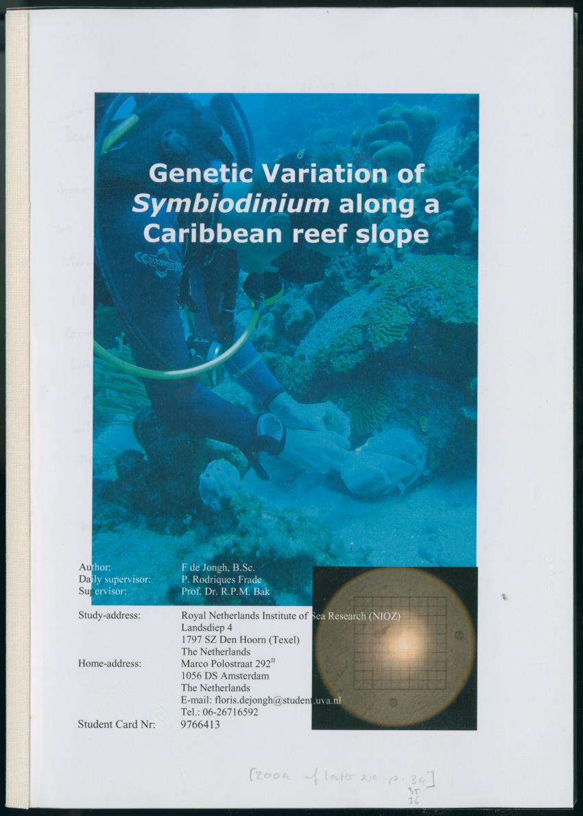 Genetic Variation of Symbiodinium along a Caribbean reef slope - New Page