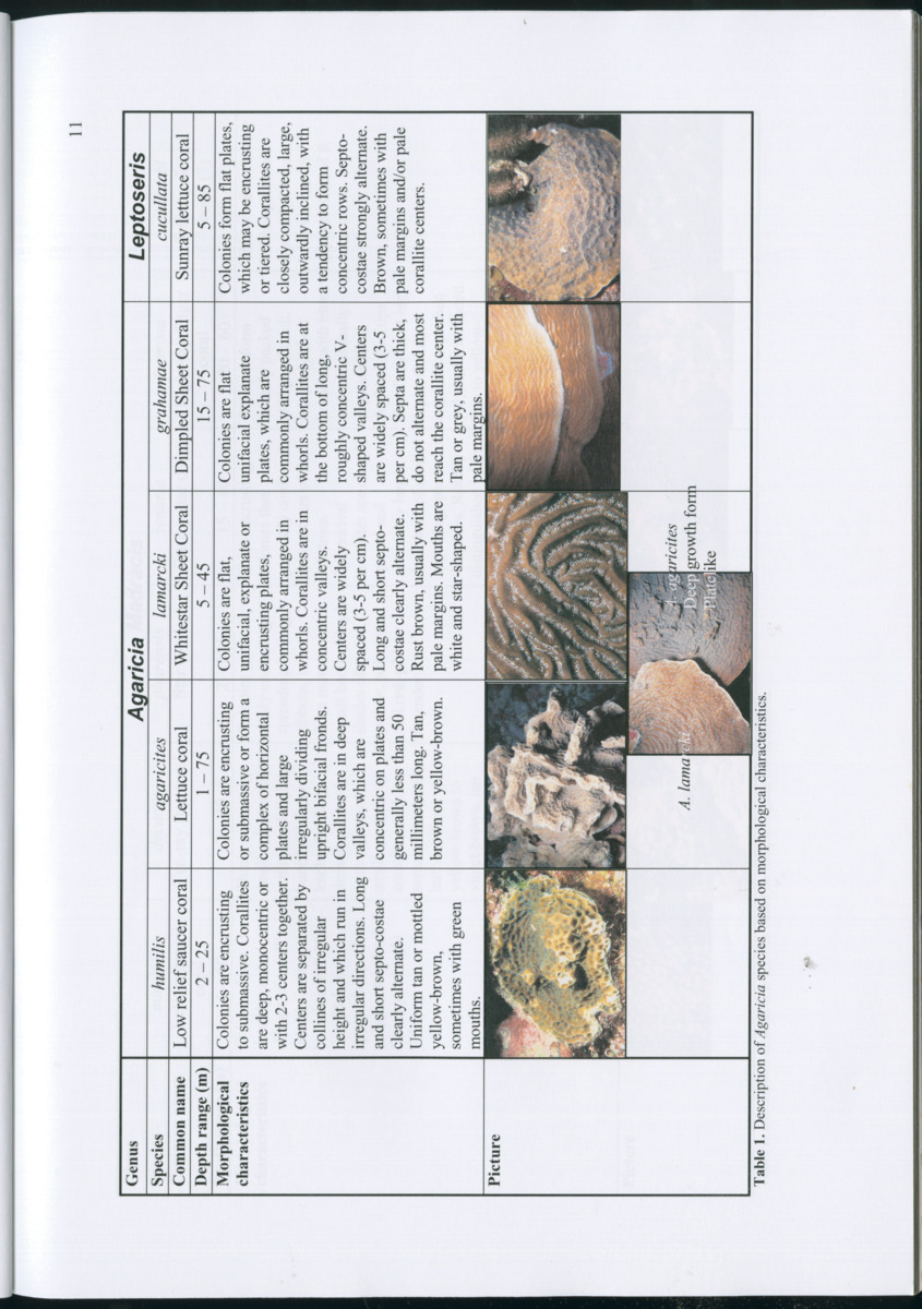 Genetic Variation of Symbiodinium along a Caribbean reef slope - New Page