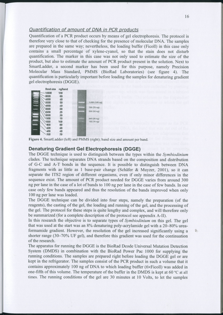 Genetic Variation of Symbiodinium along a Caribbean reef slope - New Page
