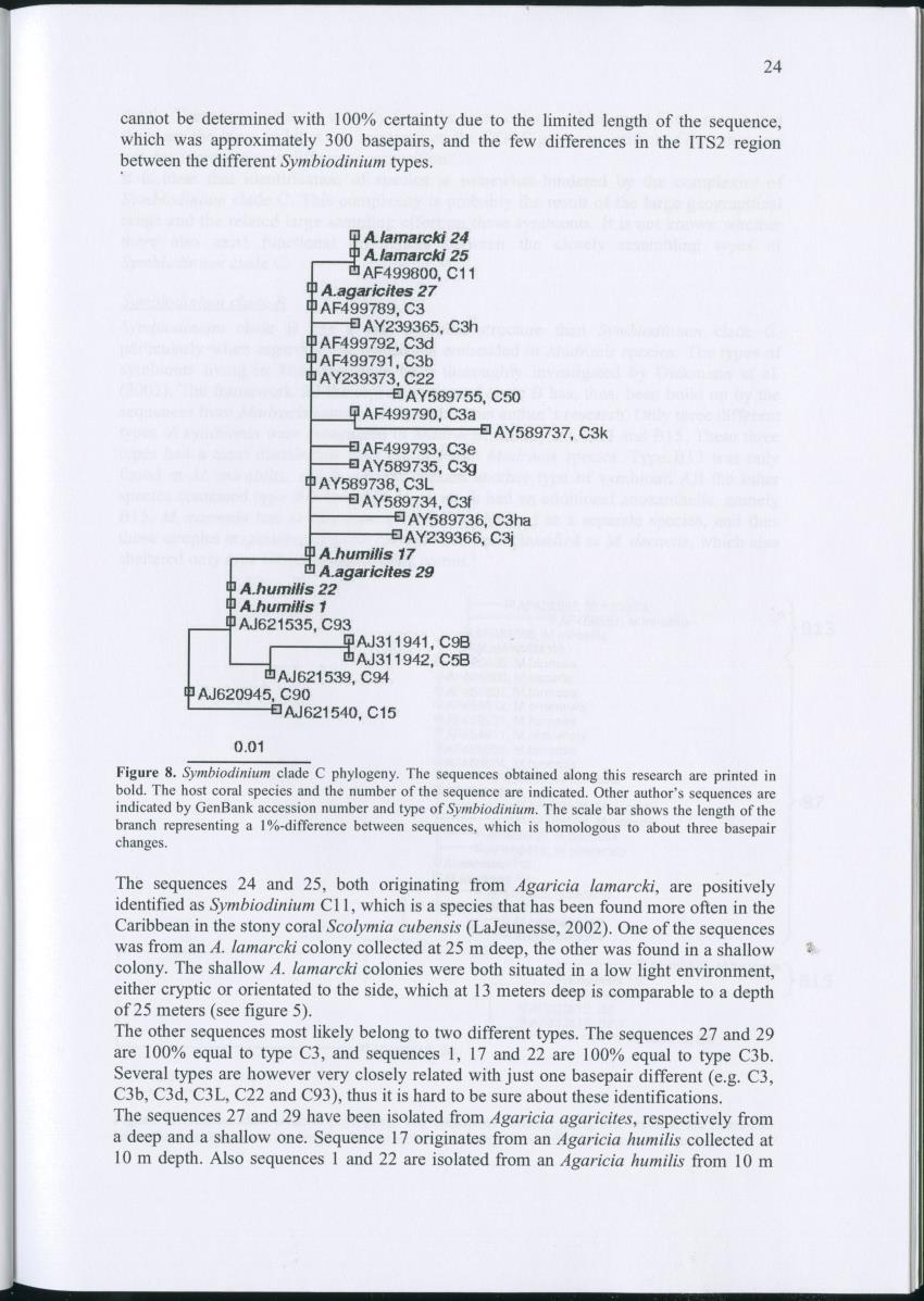 Genetic Variation of Symbiodinium along a Caribbean reef slope - New Page