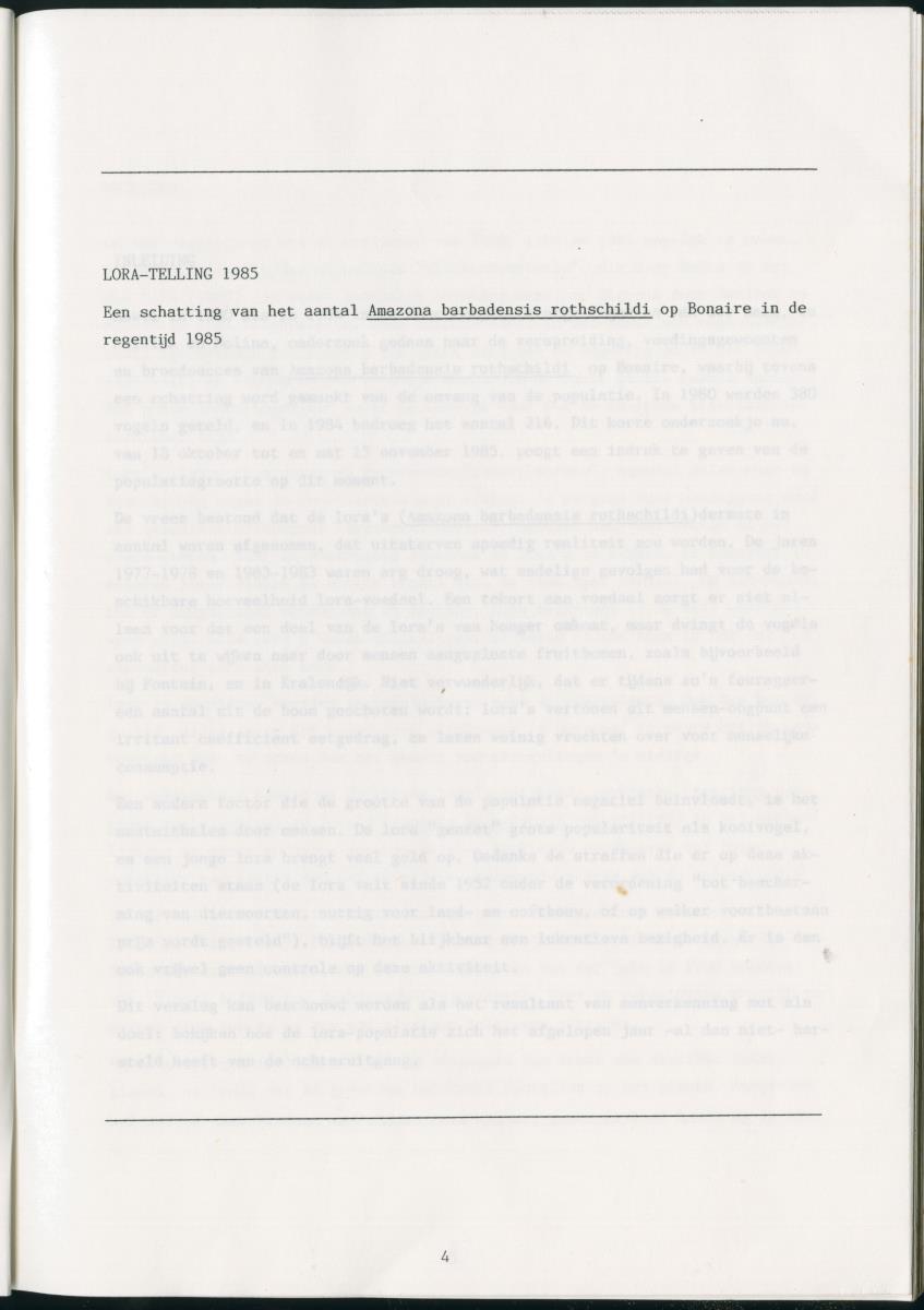 z Zes maanden stage natuurbeheer op Curacao en Bonaire - New Page