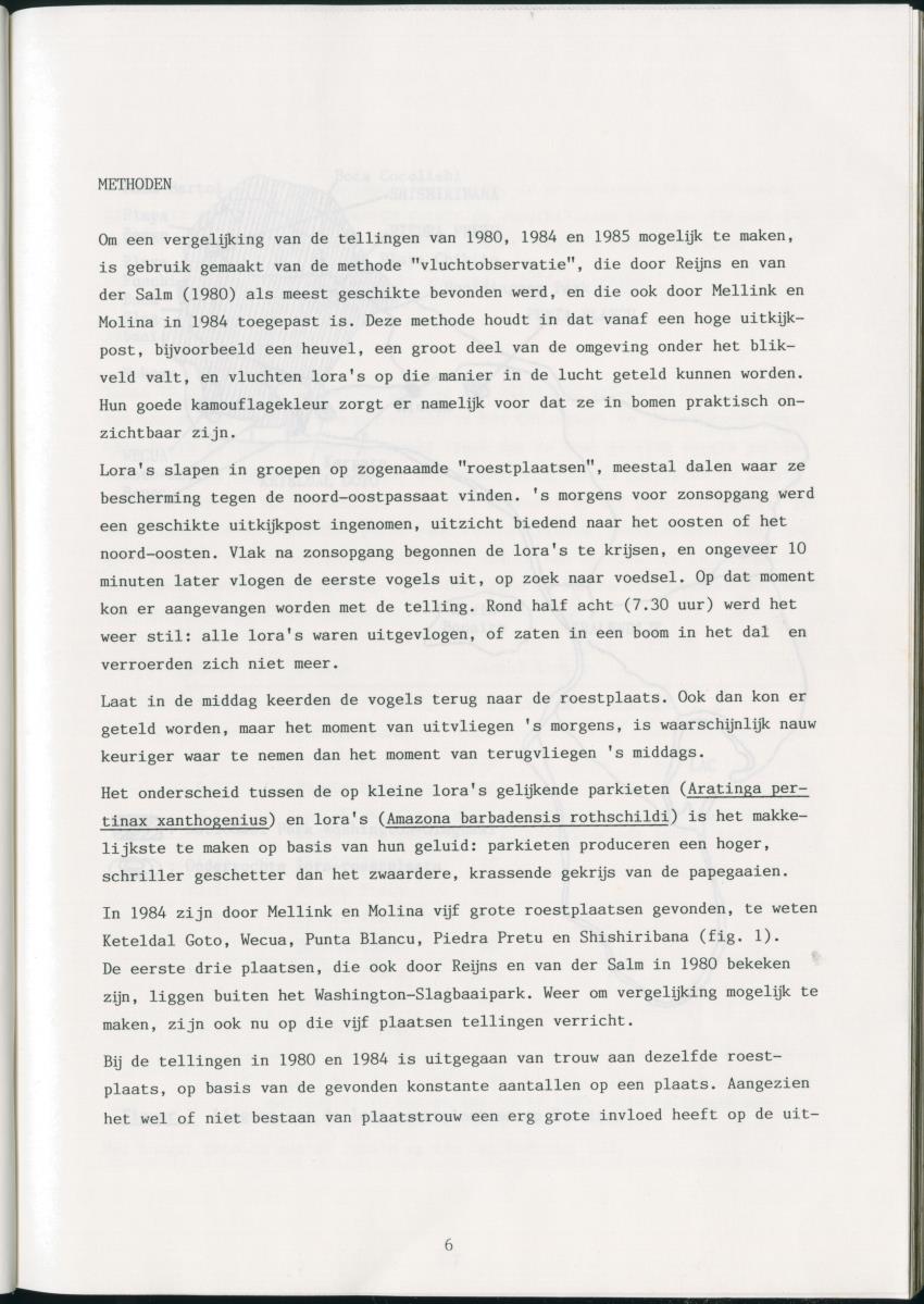 z Zes maanden stage natuurbeheer op Curacao en Bonaire - New Page