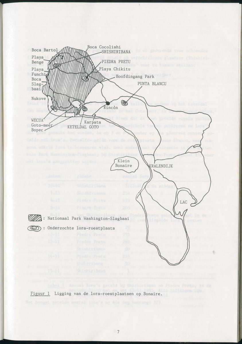 z Zes maanden stage natuurbeheer op Curacao en Bonaire - New Page