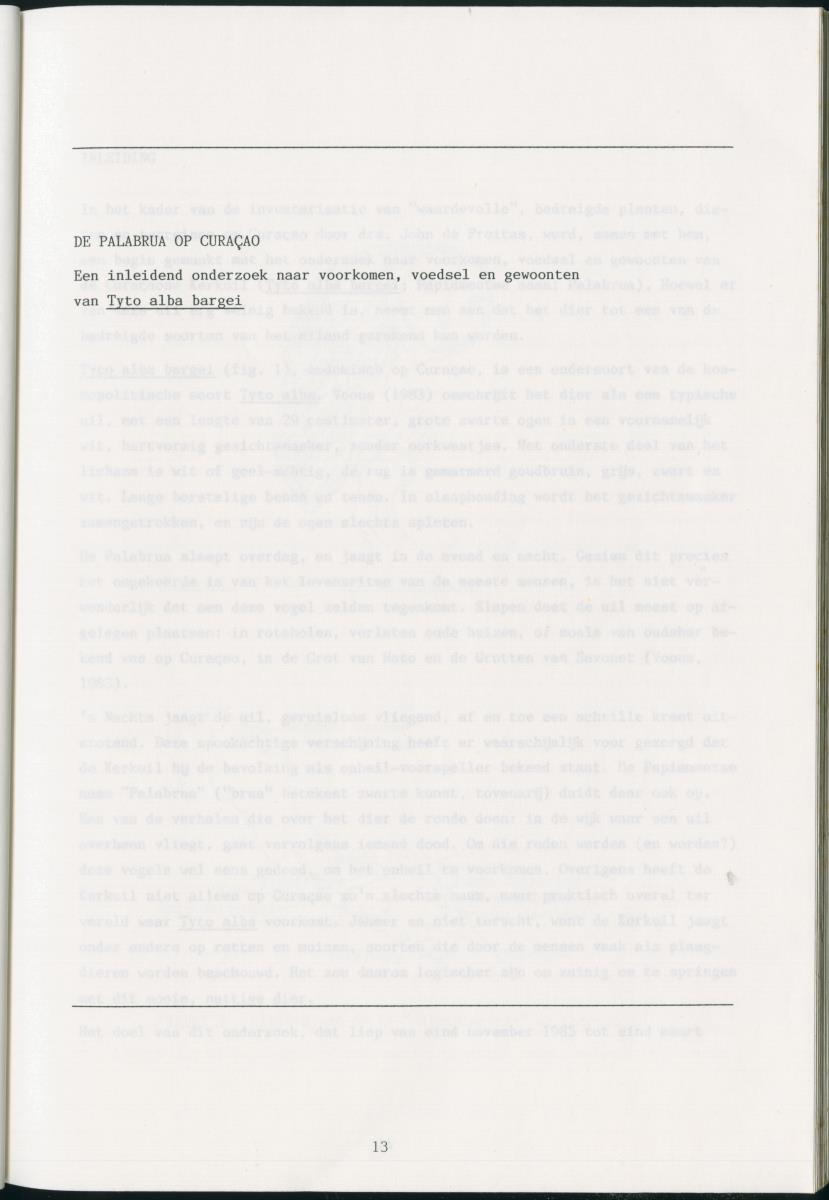 z Zes maanden stage natuurbeheer op Curacao en Bonaire - New Page