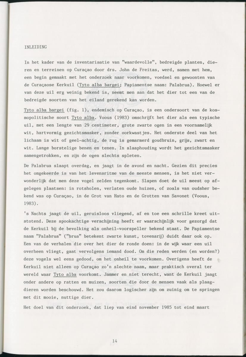 z Zes maanden stage natuurbeheer op Curacao en Bonaire - New Page