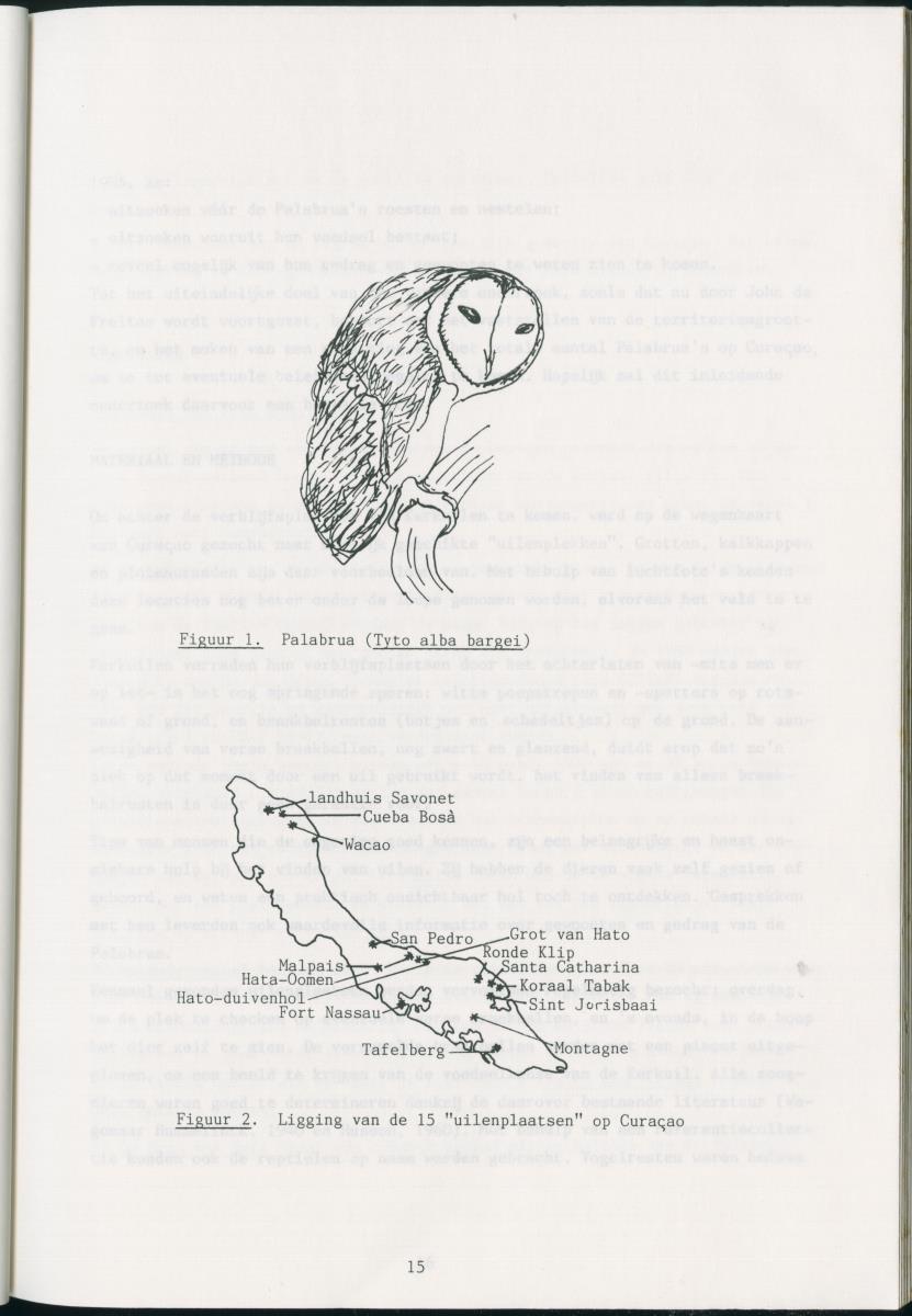 z Zes maanden stage natuurbeheer op Curacao en Bonaire - New Page