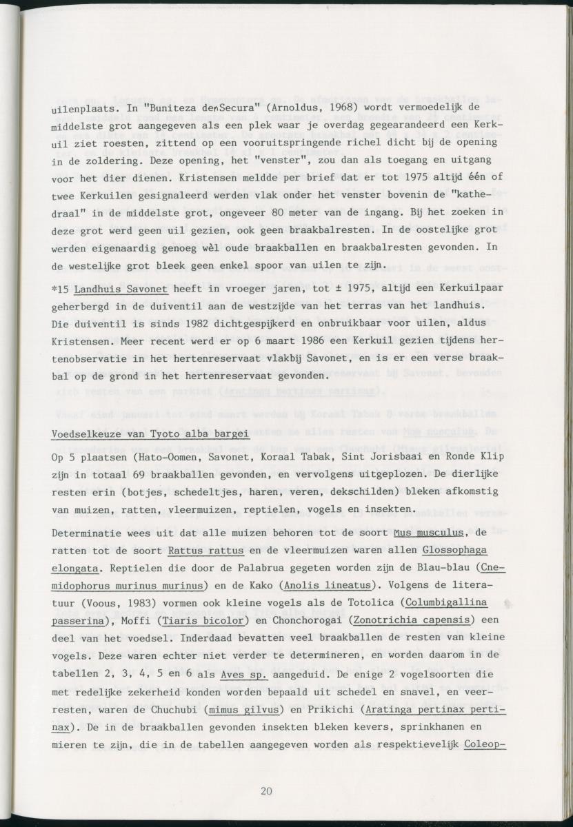 z Zes maanden stage natuurbeheer op Curacao en Bonaire - New Page