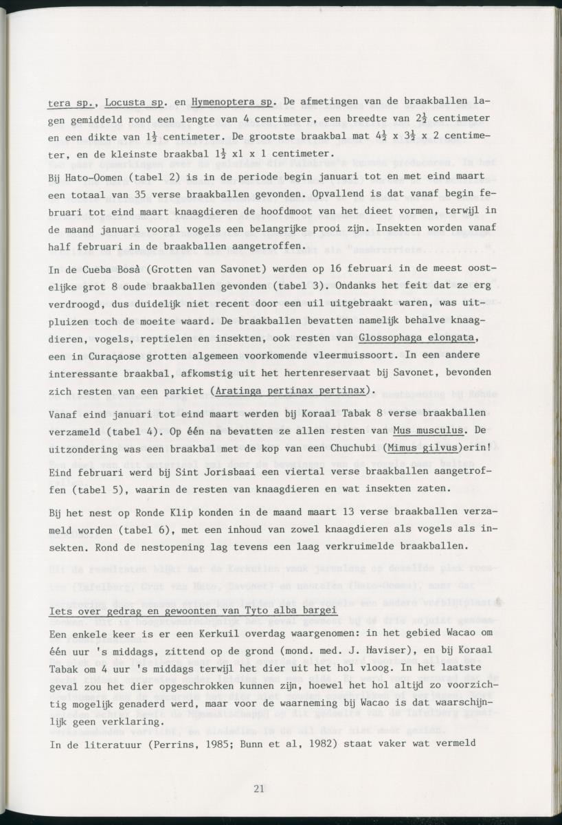 z Zes maanden stage natuurbeheer op Curacao en Bonaire - New Page