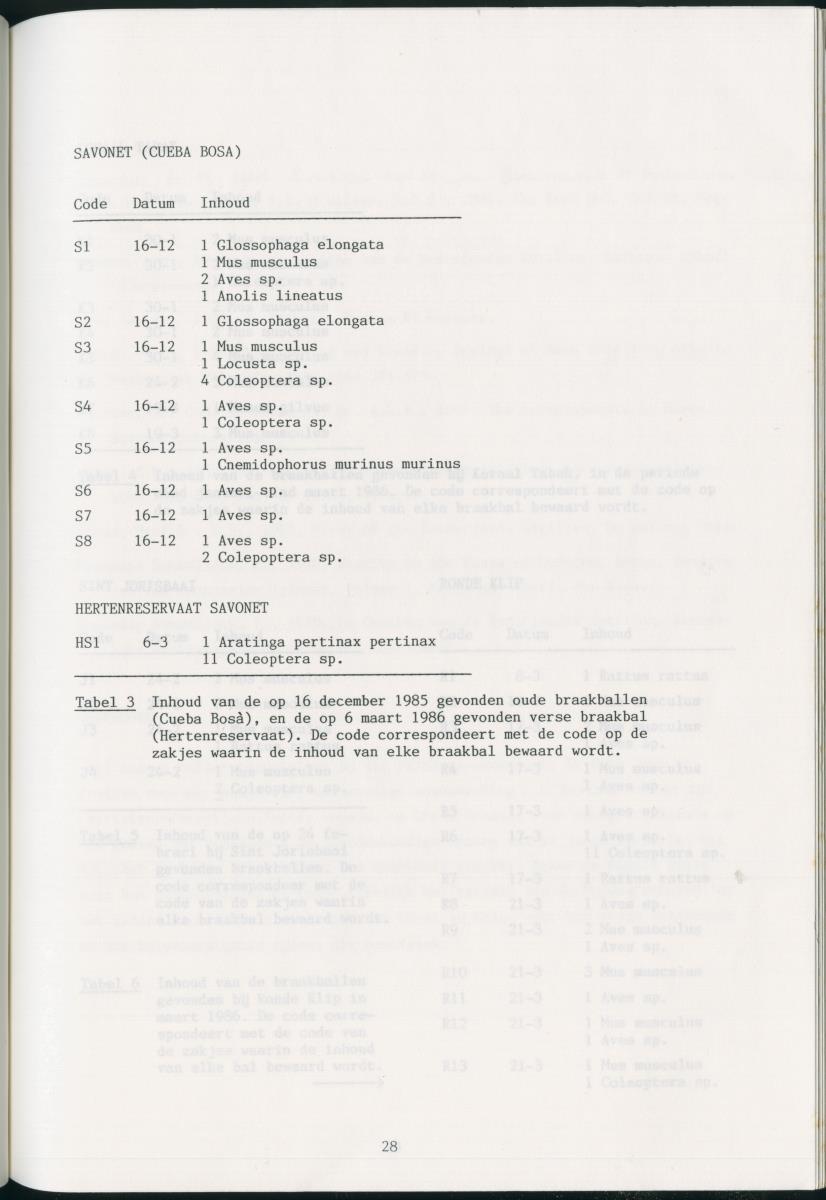 z Zes maanden stage natuurbeheer op Curacao en Bonaire - New Page