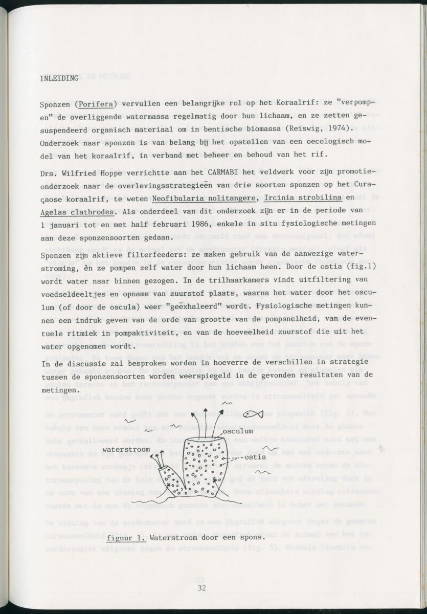 z Zes maanden stage natuurbeheer op Curacao en Bonaire - New Page