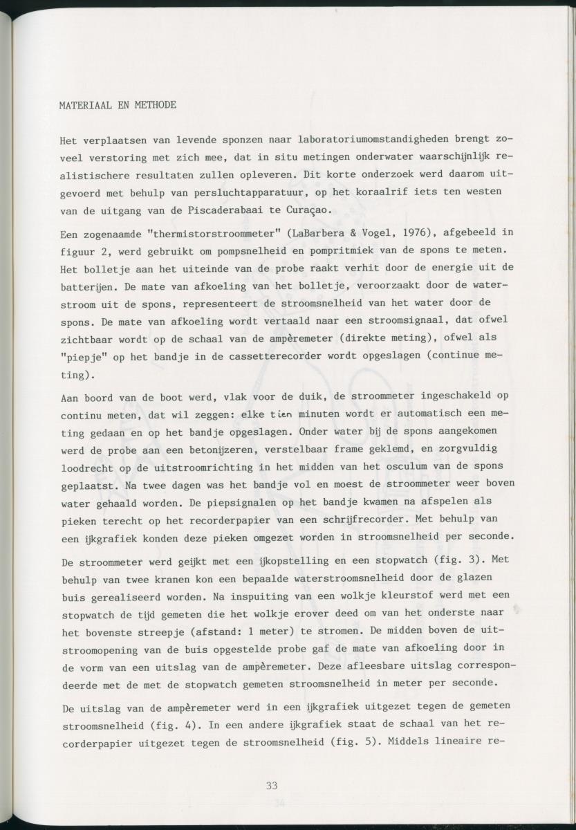 z Zes maanden stage natuurbeheer op Curacao en Bonaire - New Page