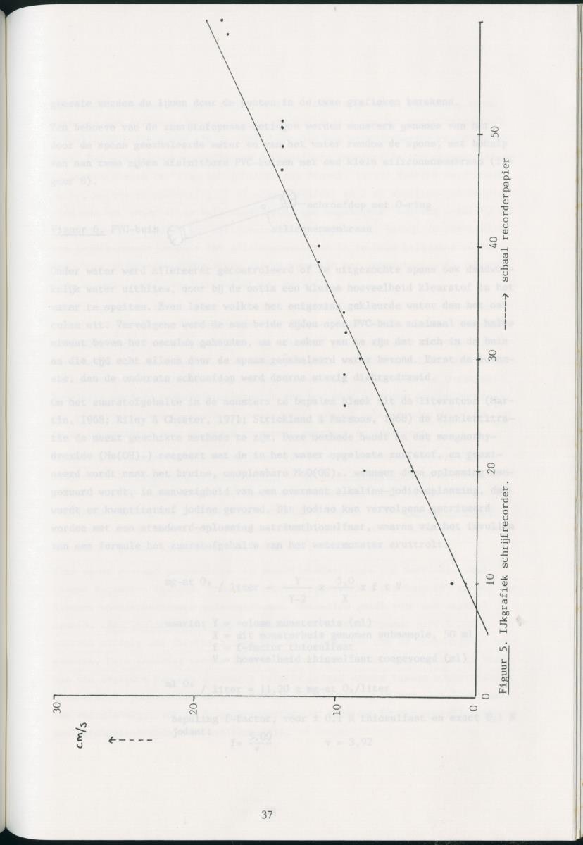 z Zes maanden stage natuurbeheer op Curacao en Bonaire - New Page