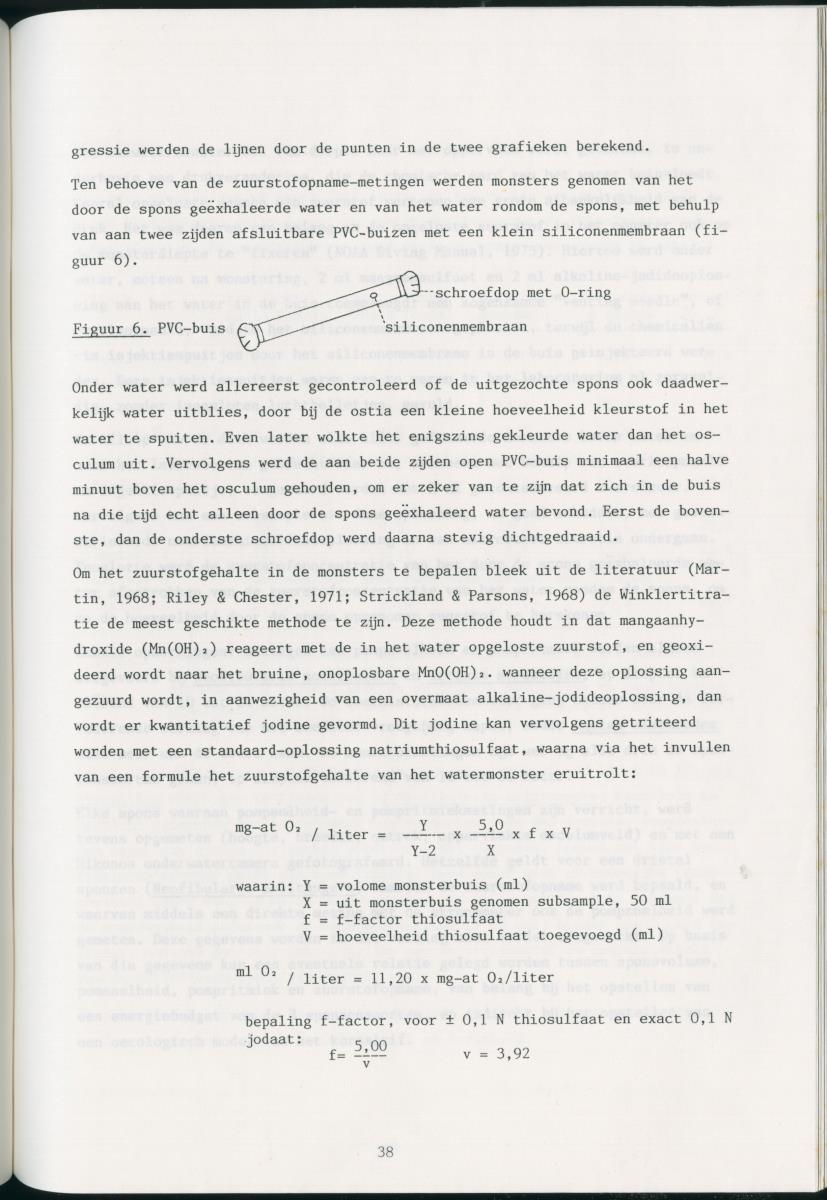 z Zes maanden stage natuurbeheer op Curacao en Bonaire - New Page