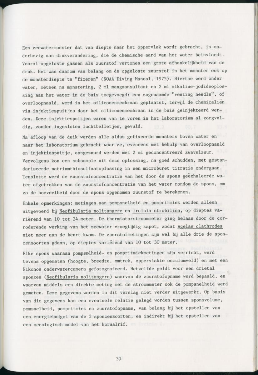 z Zes maanden stage natuurbeheer op Curacao en Bonaire - New Page