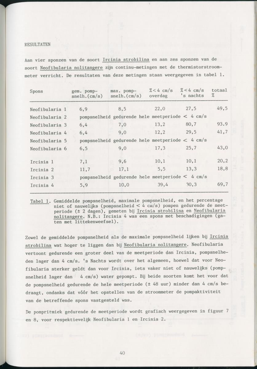 z Zes maanden stage natuurbeheer op Curacao en Bonaire - New Page