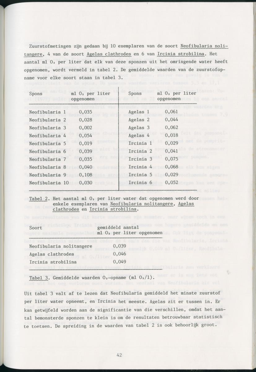 z Zes maanden stage natuurbeheer op Curacao en Bonaire - New Page