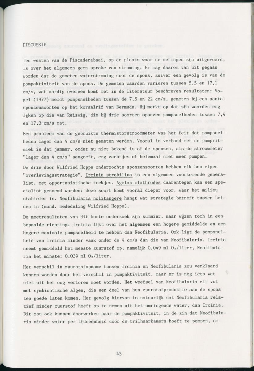 z Zes maanden stage natuurbeheer op Curacao en Bonaire - New Page