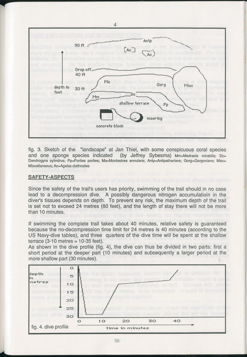 z Zes maanden stage natuurbeheer op Curacao en Bonaire - New Page