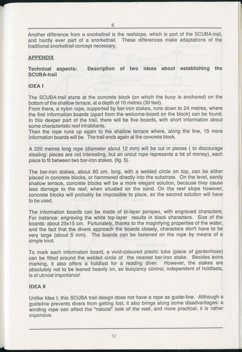 z Zes maanden stage natuurbeheer op Curacao en Bonaire - New Page