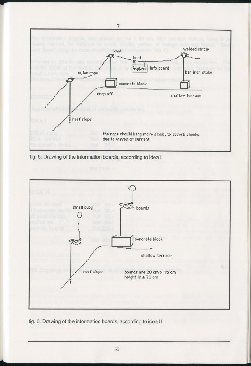 z Zes maanden stage natuurbeheer op Curacao en Bonaire - New Page