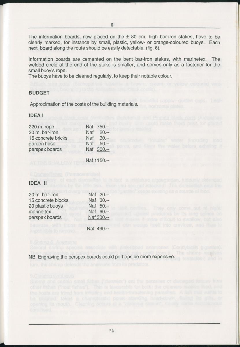 z Zes maanden stage natuurbeheer op Curacao en Bonaire - New Page