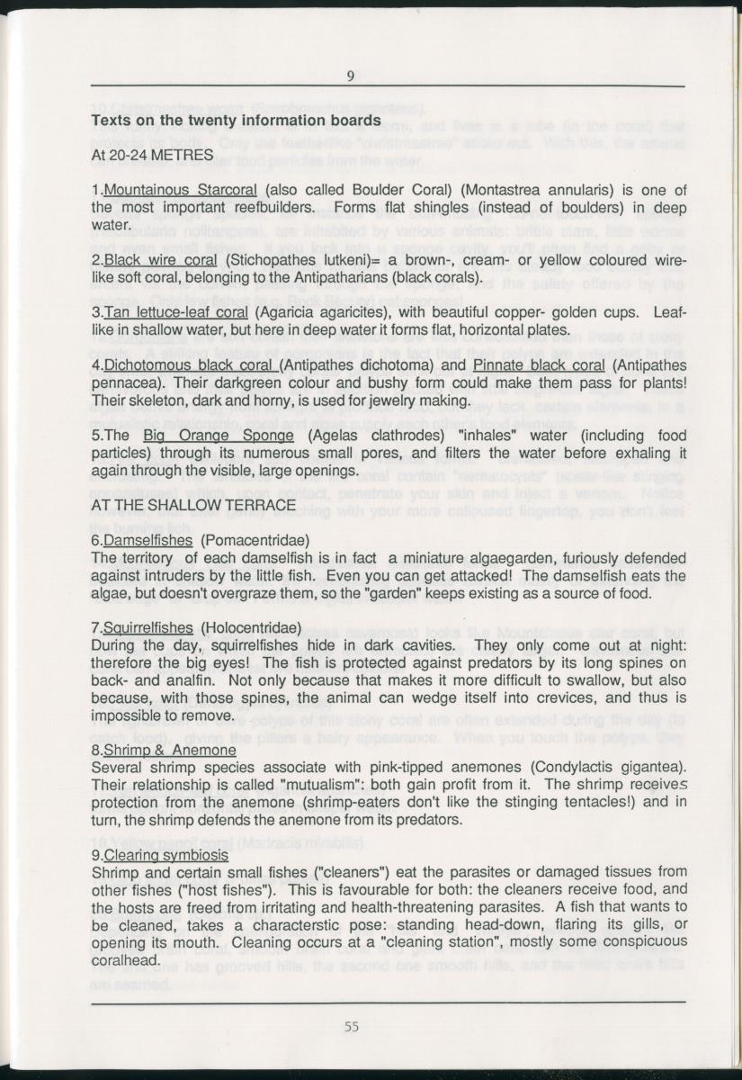 z Zes maanden stage natuurbeheer op Curacao en Bonaire - New Page