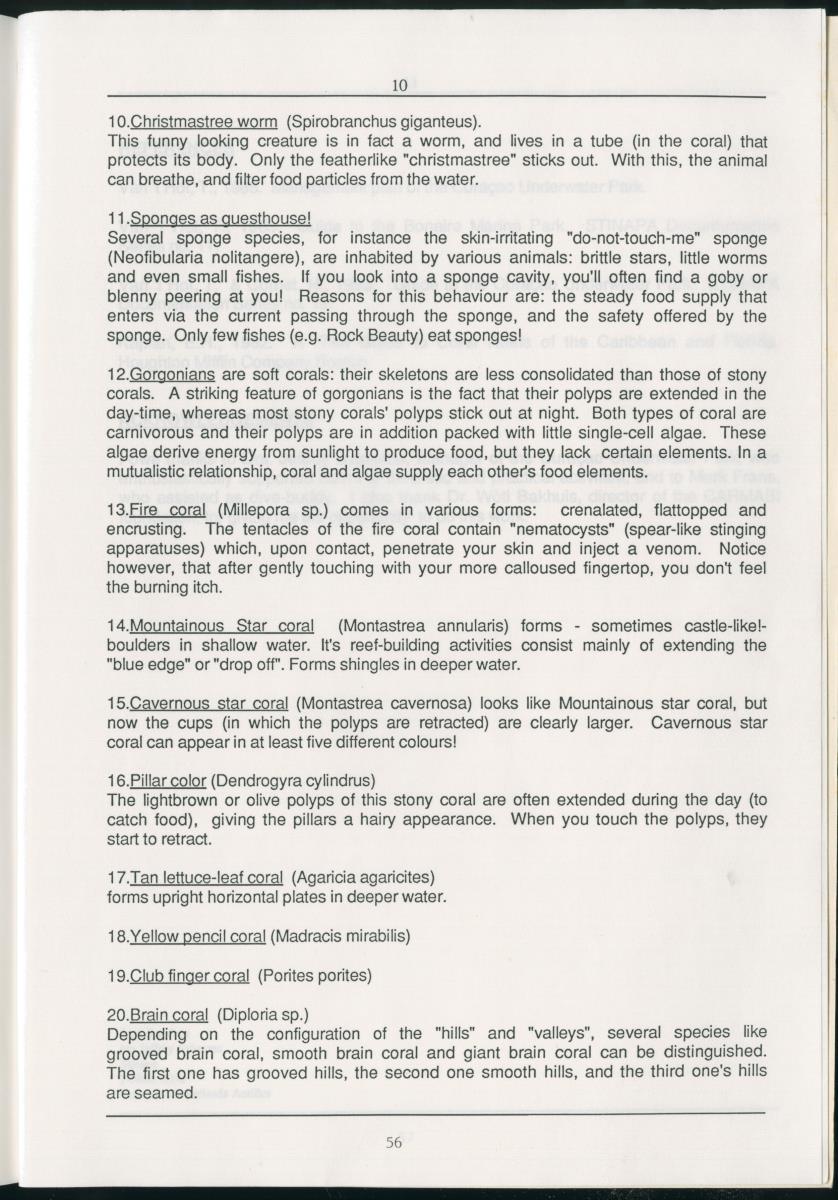 z Zes maanden stage natuurbeheer op Curacao en Bonaire - New Page