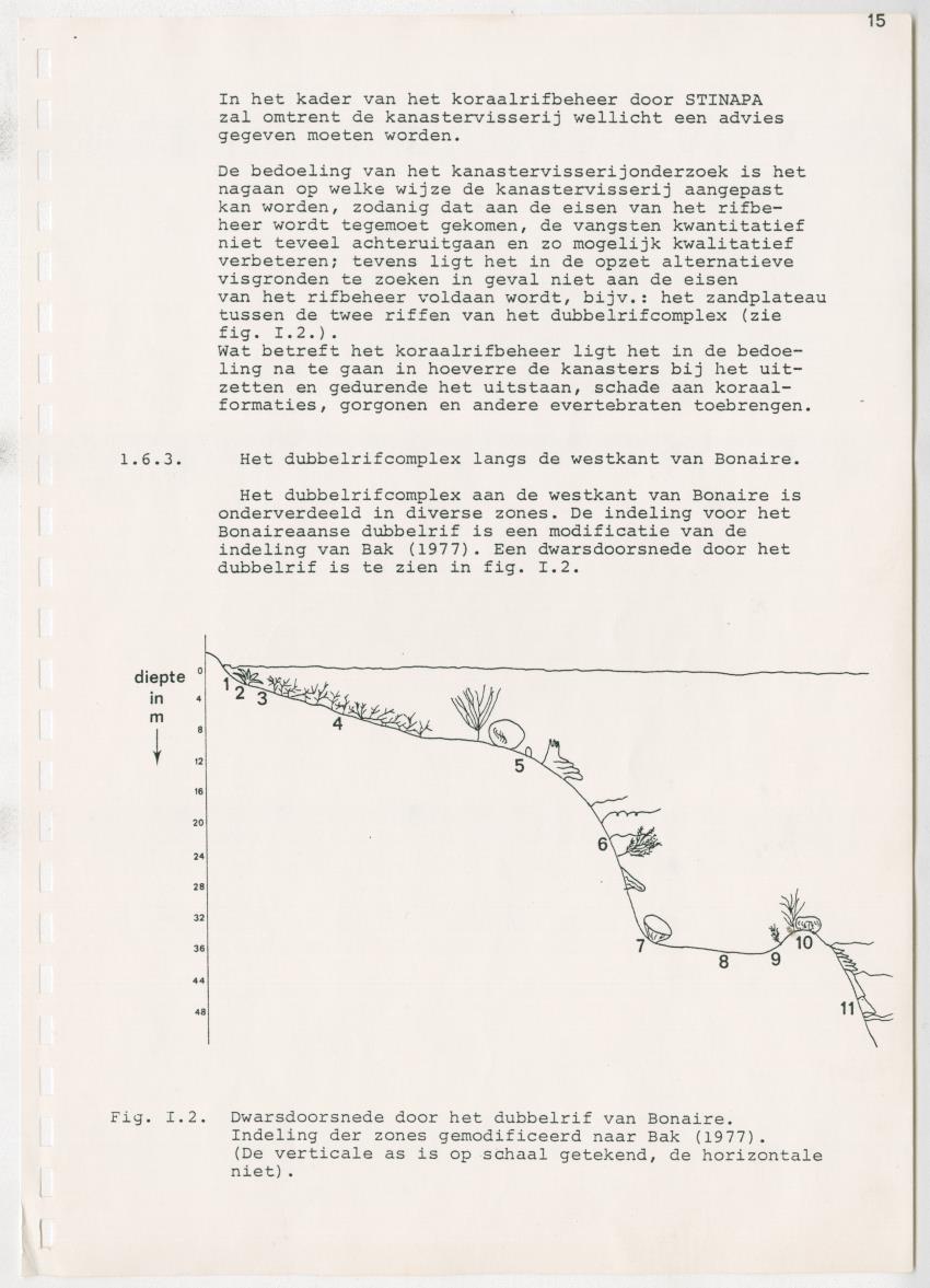z Kanastervisserijonderzoek op Bonaire, Nederlandse Antillen - New Page