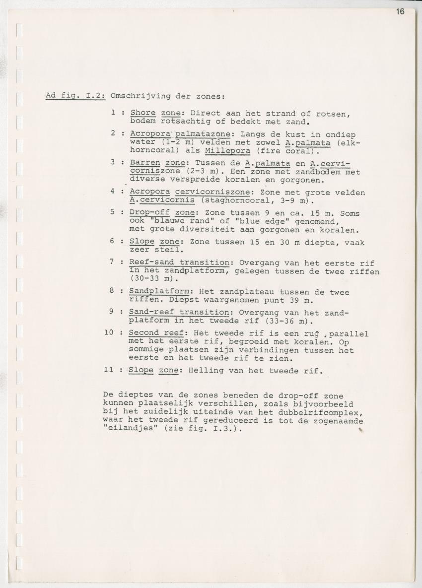 z Kanastervisserijonderzoek op Bonaire, Nederlandse Antillen - New Page