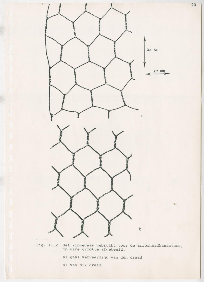 z Kanastervisserijonderzoek op Bonaire, Nederlandse Antillen - New Page