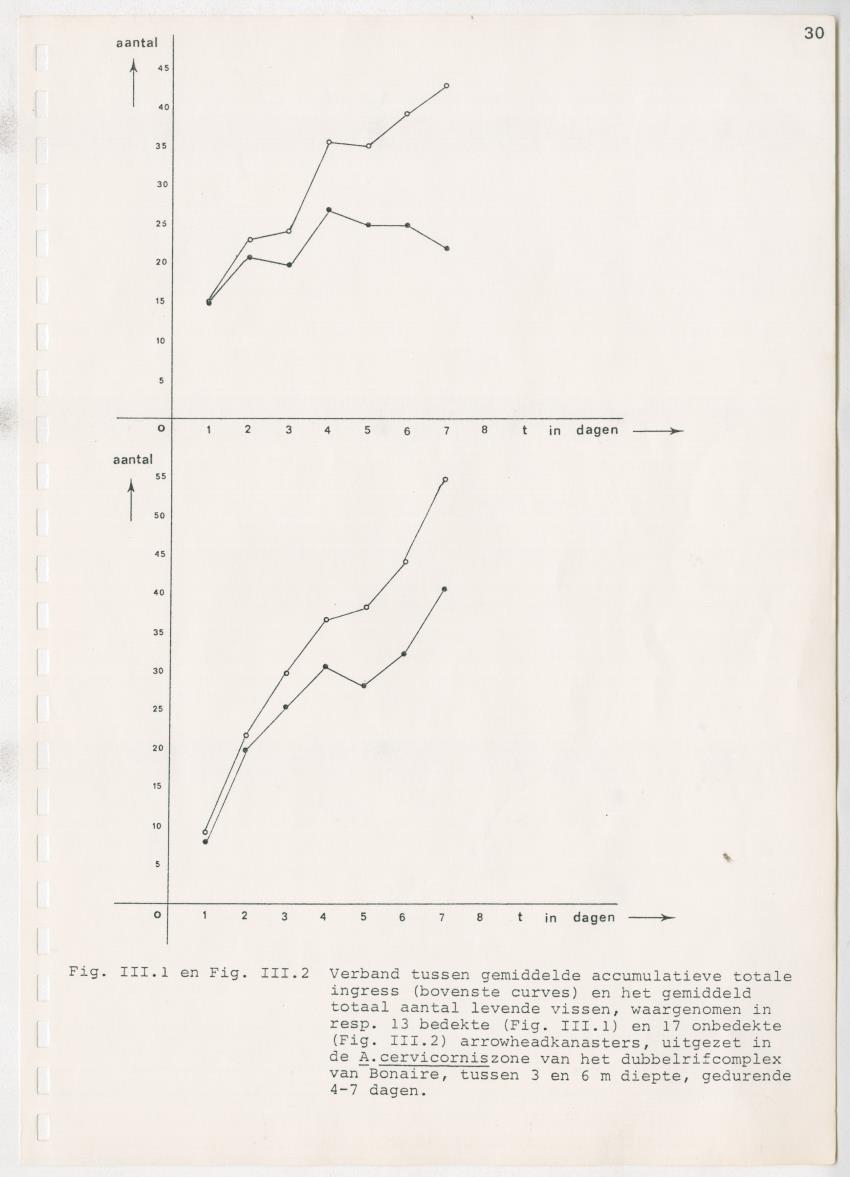 z Kanastervisserijonderzoek op Bonaire, Nederlandse Antillen - New Page