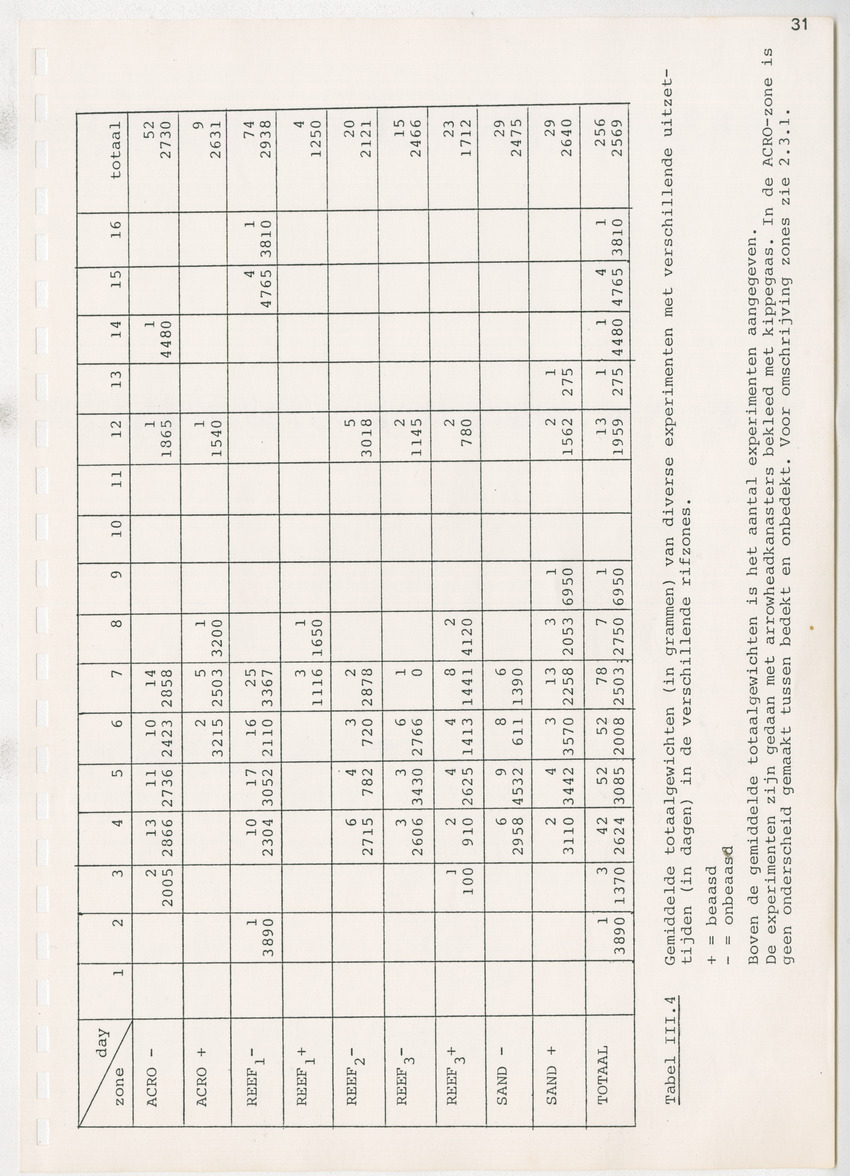 z Kanastervisserijonderzoek op Bonaire, Nederlandse Antillen - New Page
