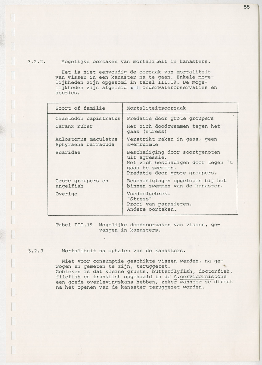 z Kanastervisserijonderzoek op Bonaire, Nederlandse Antillen - New Page