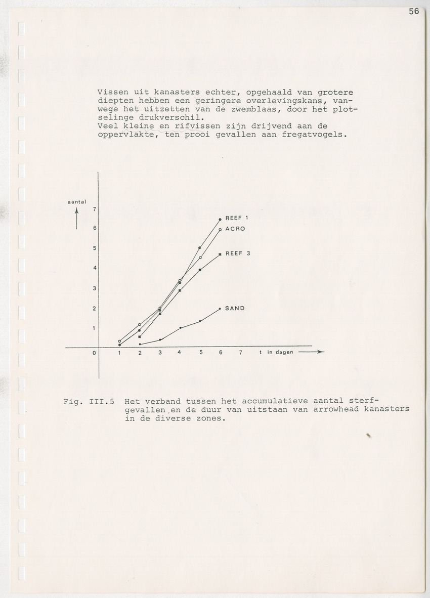 z Kanastervisserijonderzoek op Bonaire, Nederlandse Antillen - New Page