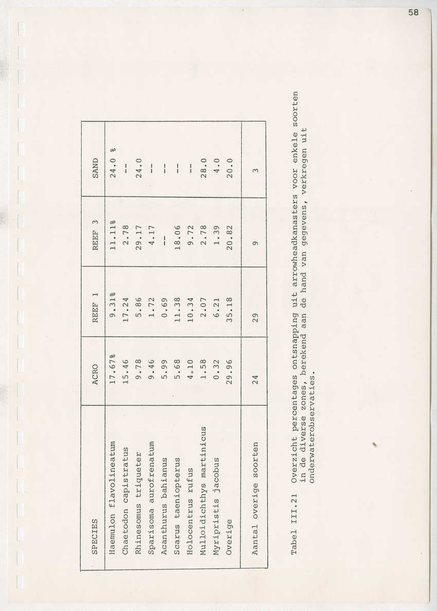 z Kanastervisserijonderzoek op Bonaire, Nederlandse Antillen - New Page