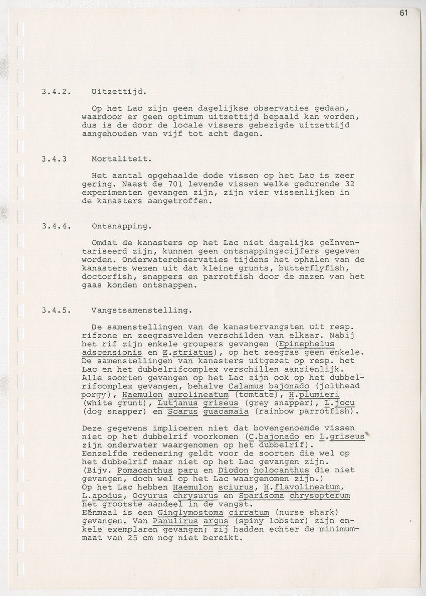 z Kanastervisserijonderzoek op Bonaire, Nederlandse Antillen - New Page