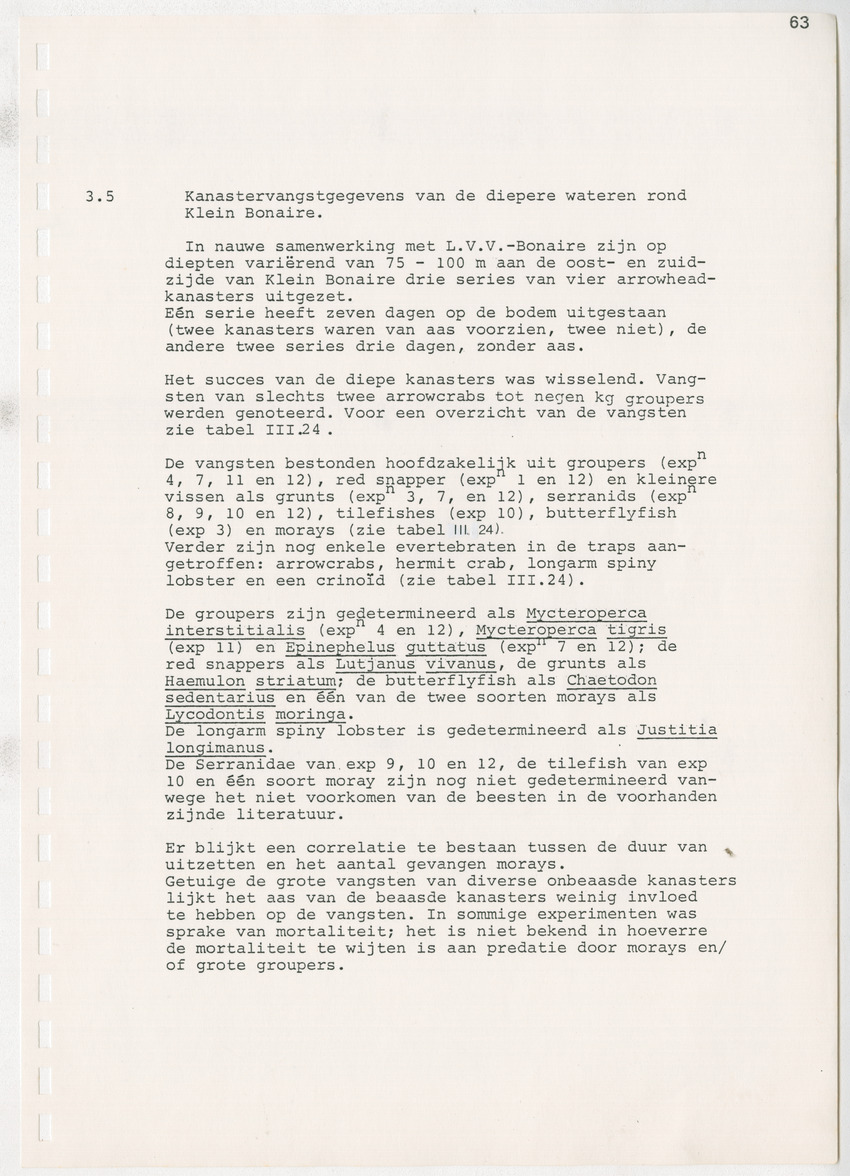 z Kanastervisserijonderzoek op Bonaire, Nederlandse Antillen - New Page