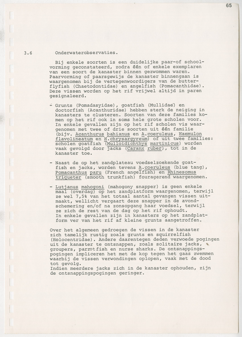 z Kanastervisserijonderzoek op Bonaire, Nederlandse Antillen - New Page