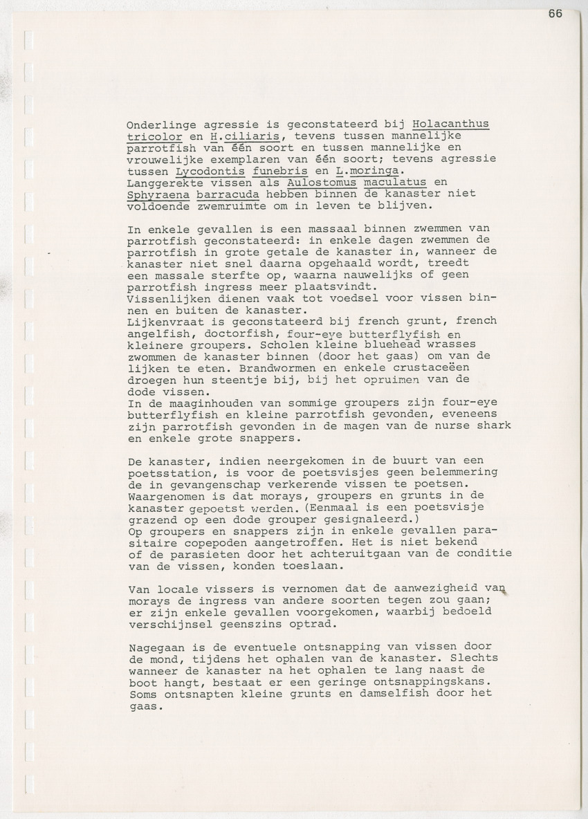 z Kanastervisserijonderzoek op Bonaire, Nederlandse Antillen - New Page