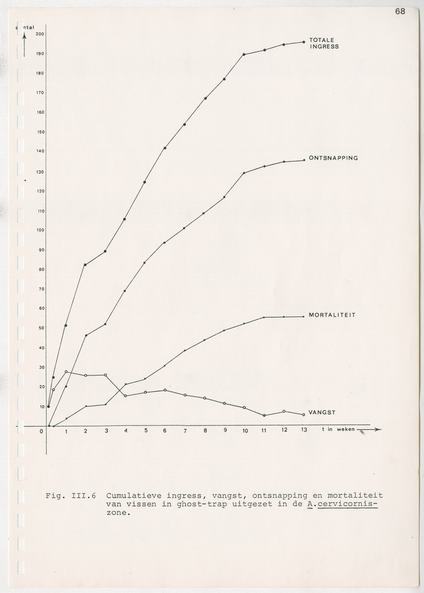 z Kanastervisserijonderzoek op Bonaire, Nederlandse Antillen - New Page