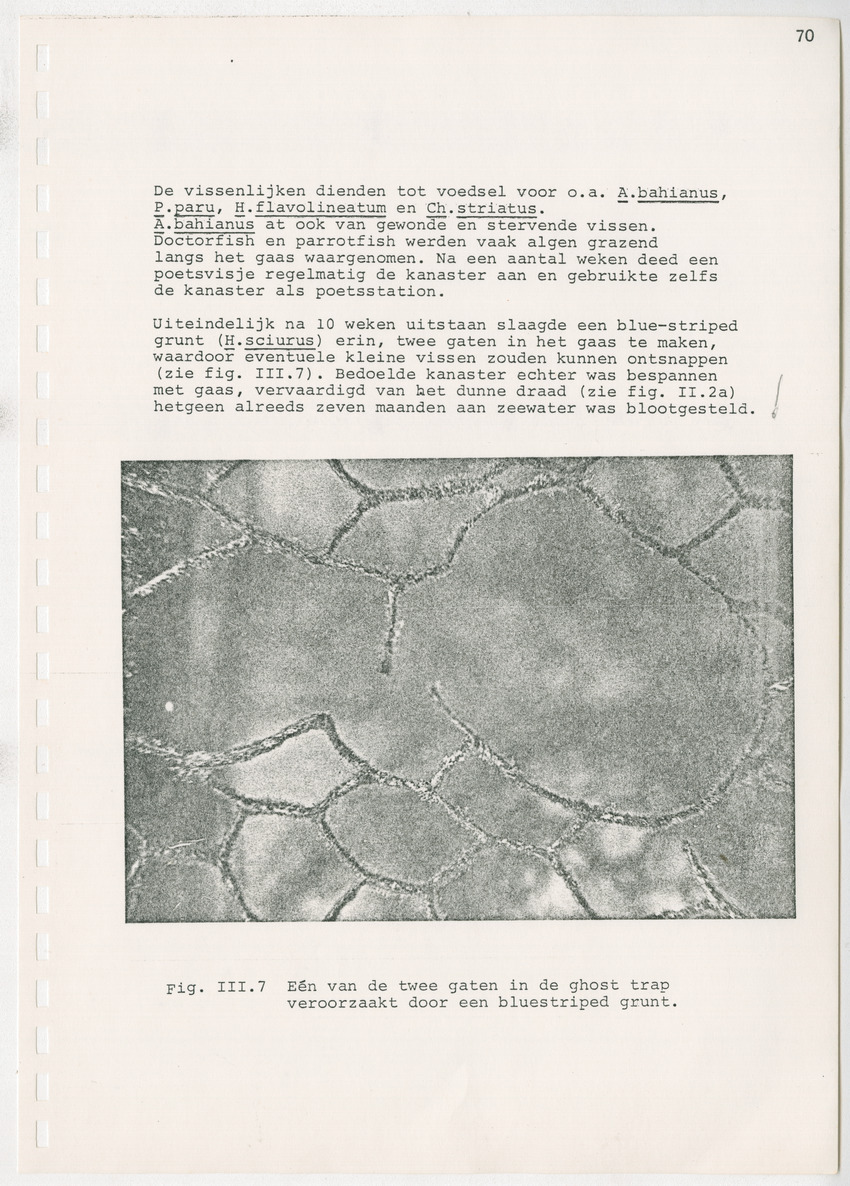 z Kanastervisserijonderzoek op Bonaire, Nederlandse Antillen - New Page