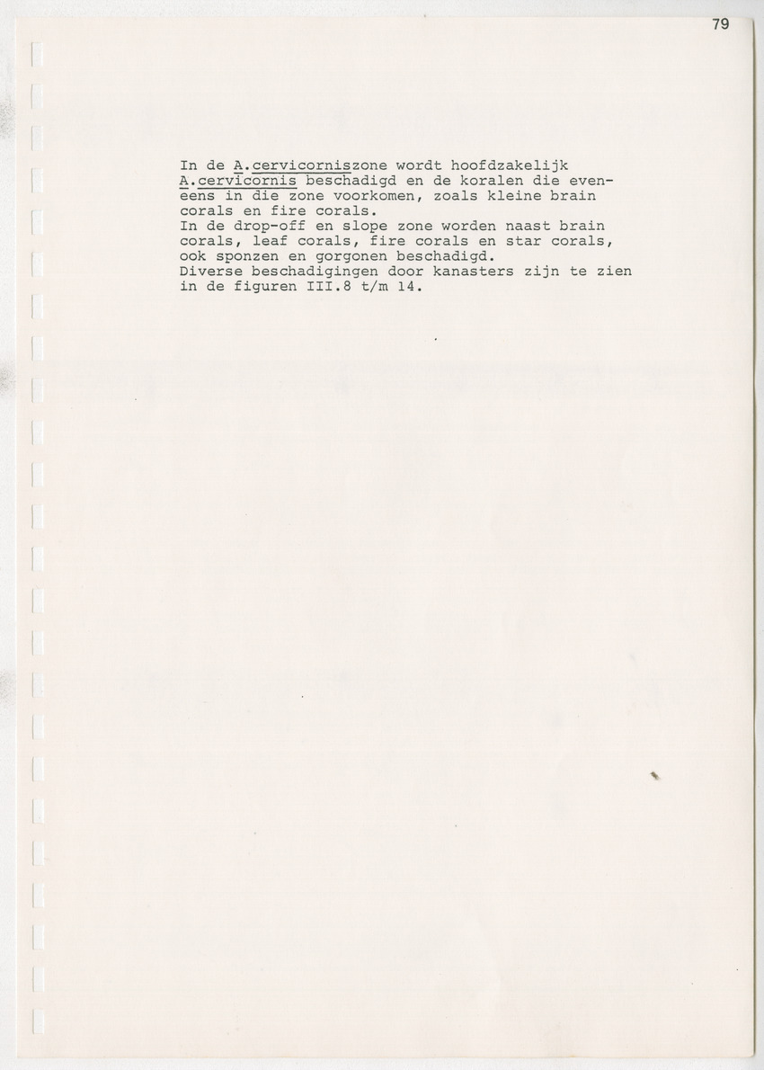 z Kanastervisserijonderzoek op Bonaire, Nederlandse Antillen - New Page