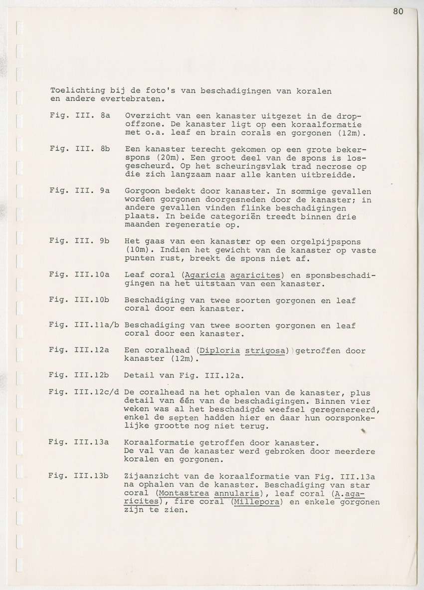 z Kanastervisserijonderzoek op Bonaire, Nederlandse Antillen - New Page